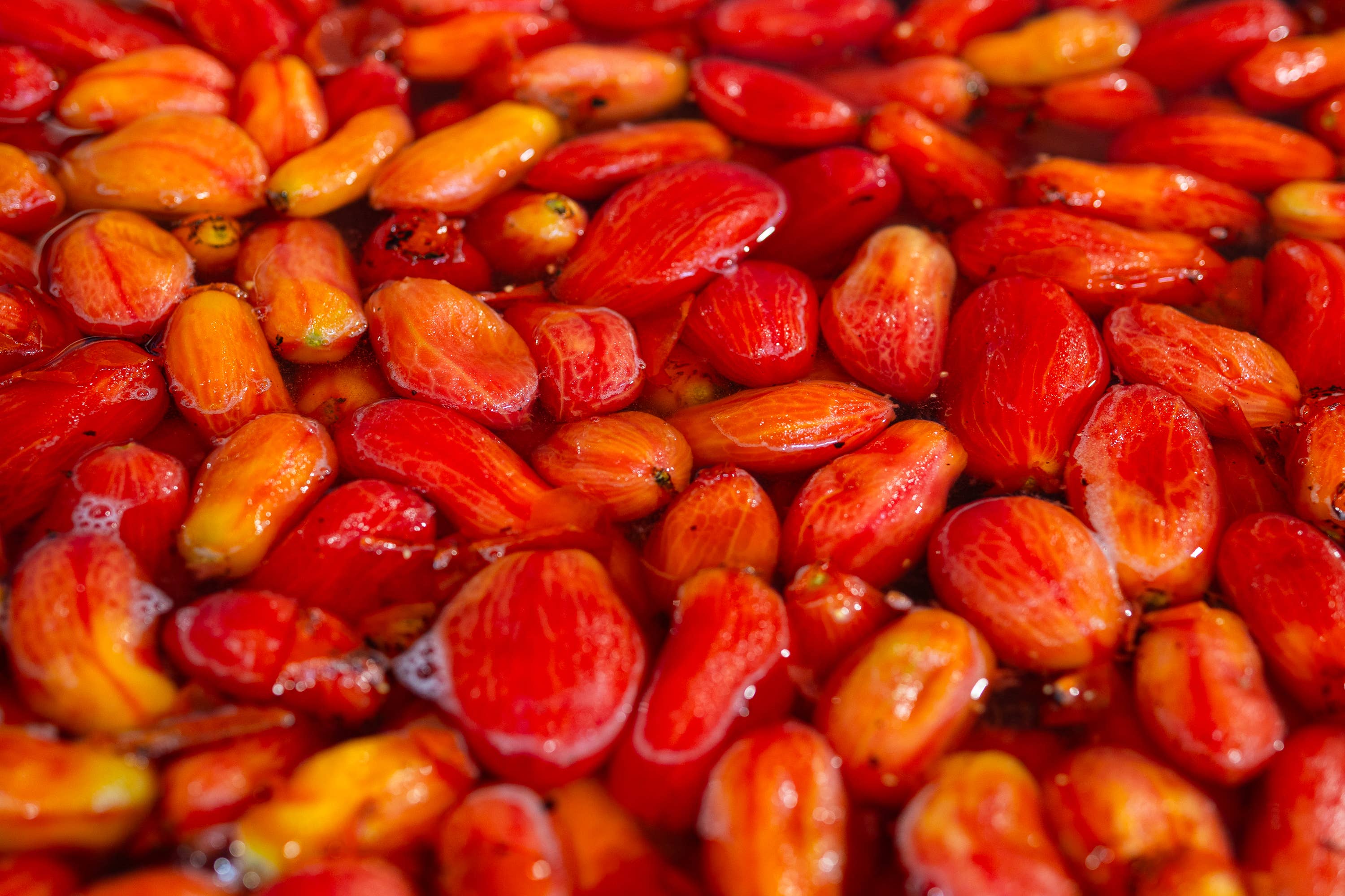 Muraca srl – wholesale Sås – Flådd Tomat Rostad Över Öppen Låga 580g2