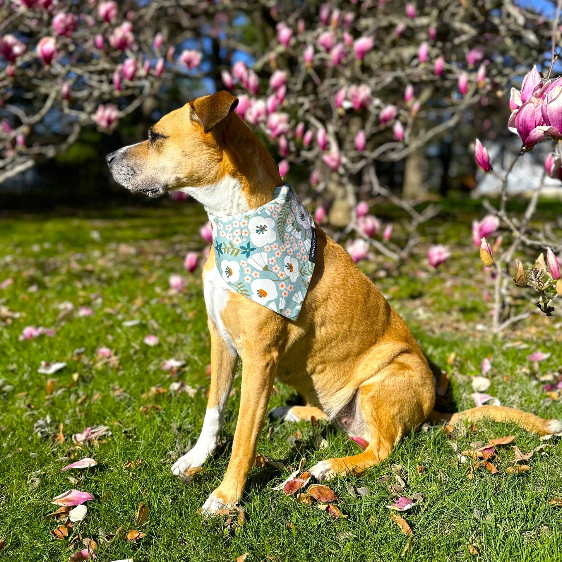 RUFFLECT Dog Bandanas - Wholesale Pet Bandana - Dog - Flora Organic Cotton RUFFLECT® Dog Bandana6