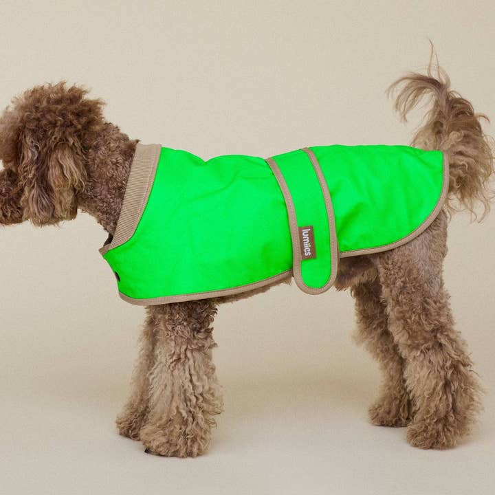 Neon Green Gecko DER GLOW REGENMANTEL (Mini-Passform) for wholesale on Faire3