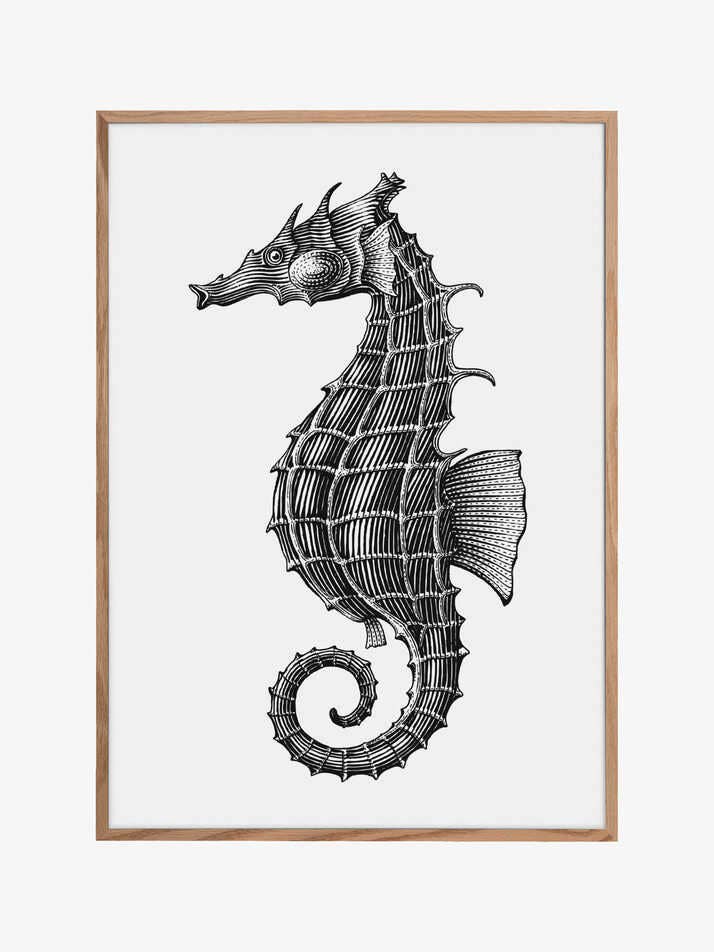 Cavalo-marinho por atacado de Pictufy Wholesale