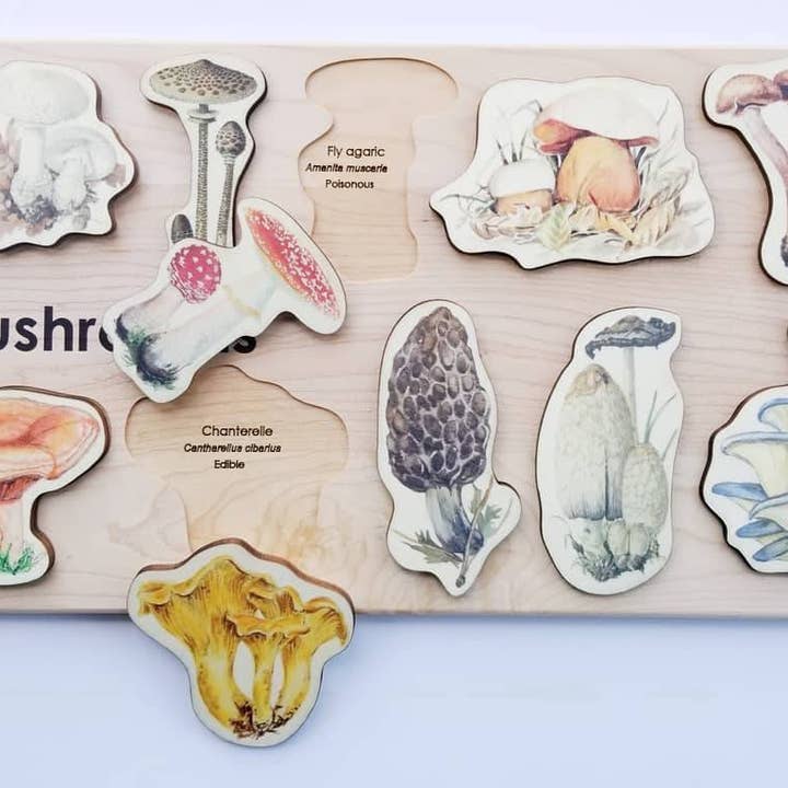 Mirus Toys – wholesale Puzzle – Child – Mushroom Puzzle3