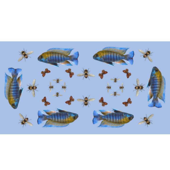 FJÄRIL & FISK KASHMIR SJAL för wholesale av Simone Bruns