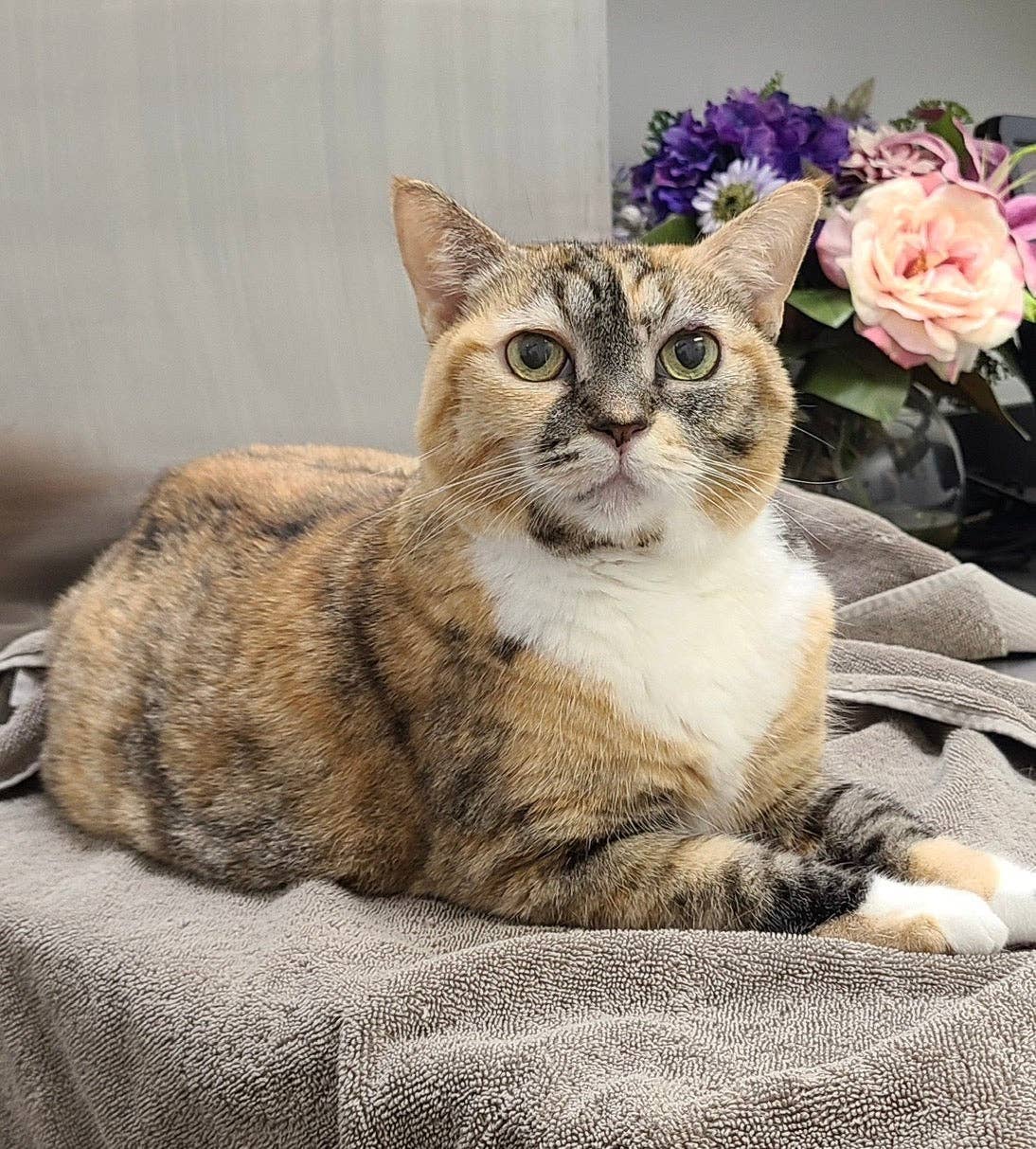 Atomic Cactus Stickers - Wholesale Sticker - Nala Memorial Hand Drawn Sticker | 2 Sizes Available with Donation Only Options1