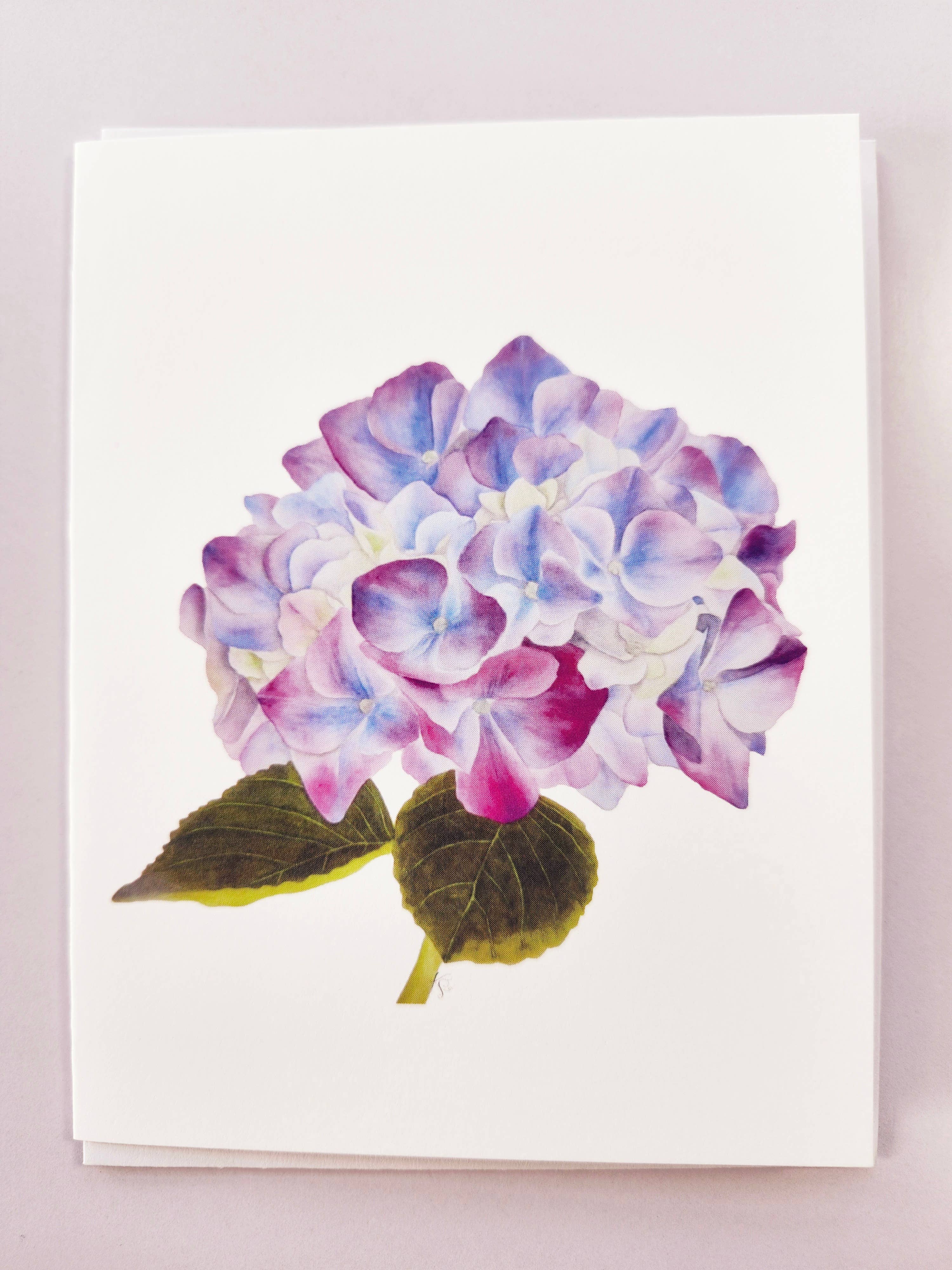 Redbriar Studio - Wholesale Stationery/Notecard Set - Notecards17