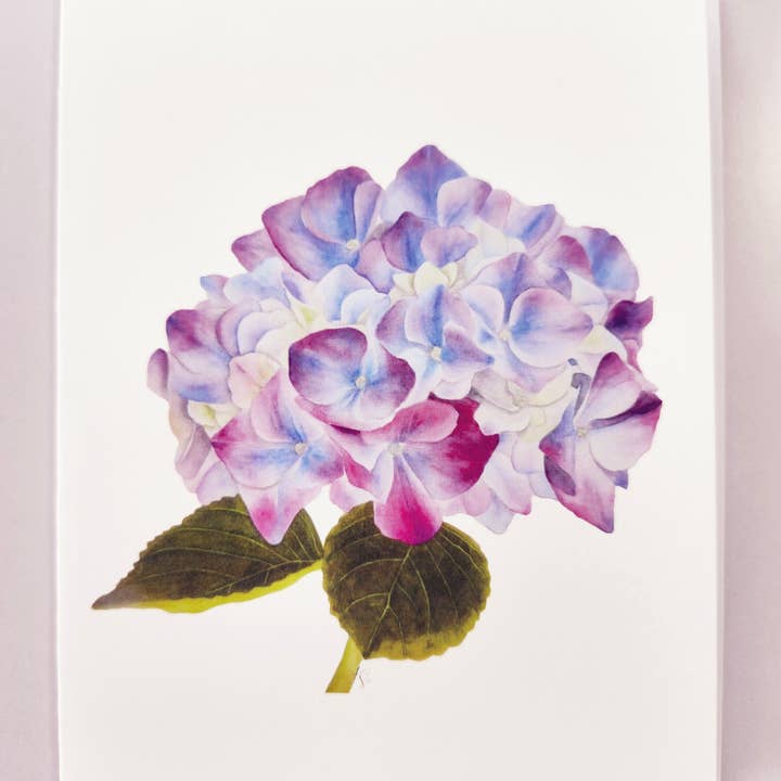 Redbriar Studio - Wholesale Stationery/Notecard Set - Notecards17