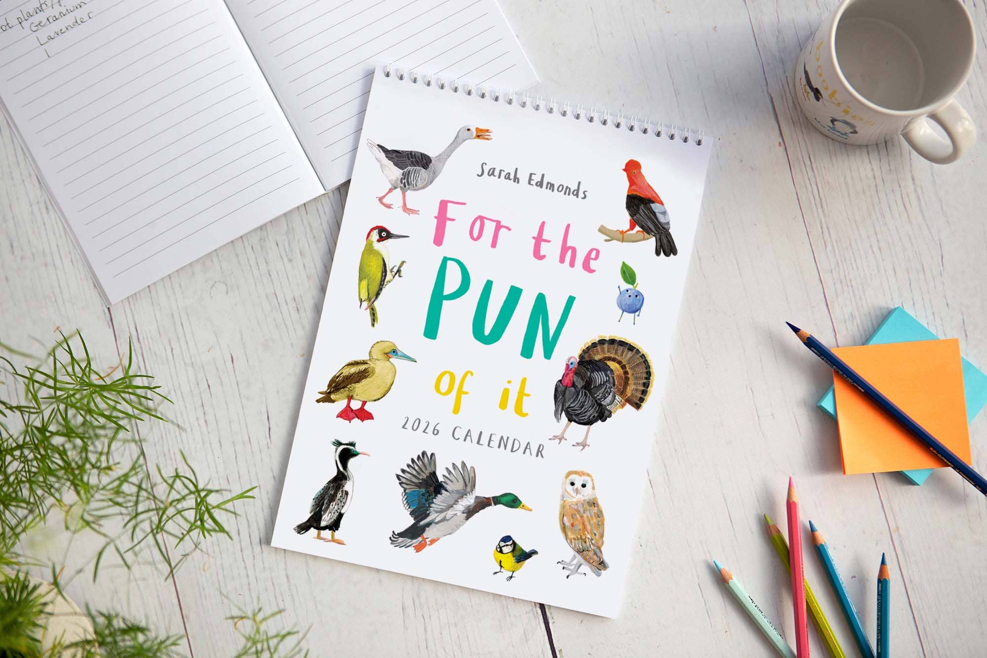 Sarah Edmonds Illustration – wholesale Calendar – 2026 'For The Pun Of It' Cheeky Wall Calendar1