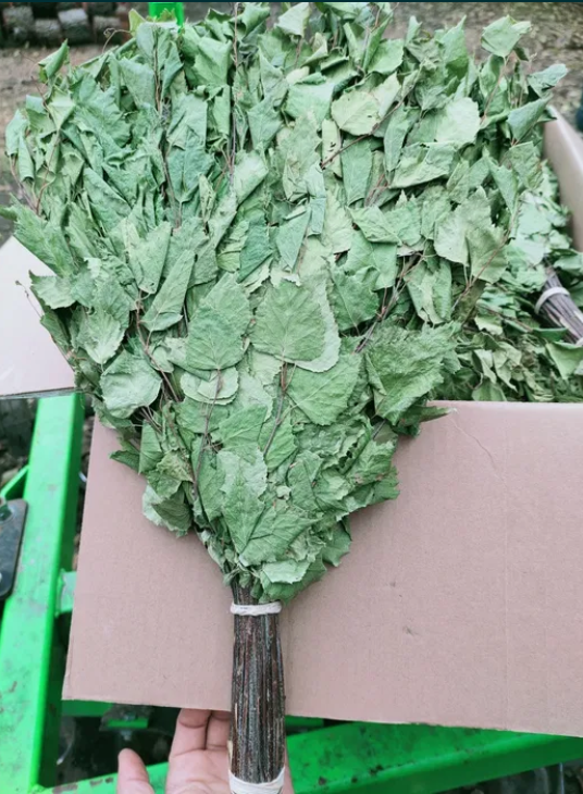 SUNROZ – wholesale Kroppsmassage – 4-pack ukrainska bastukvastar för massage och SPA14