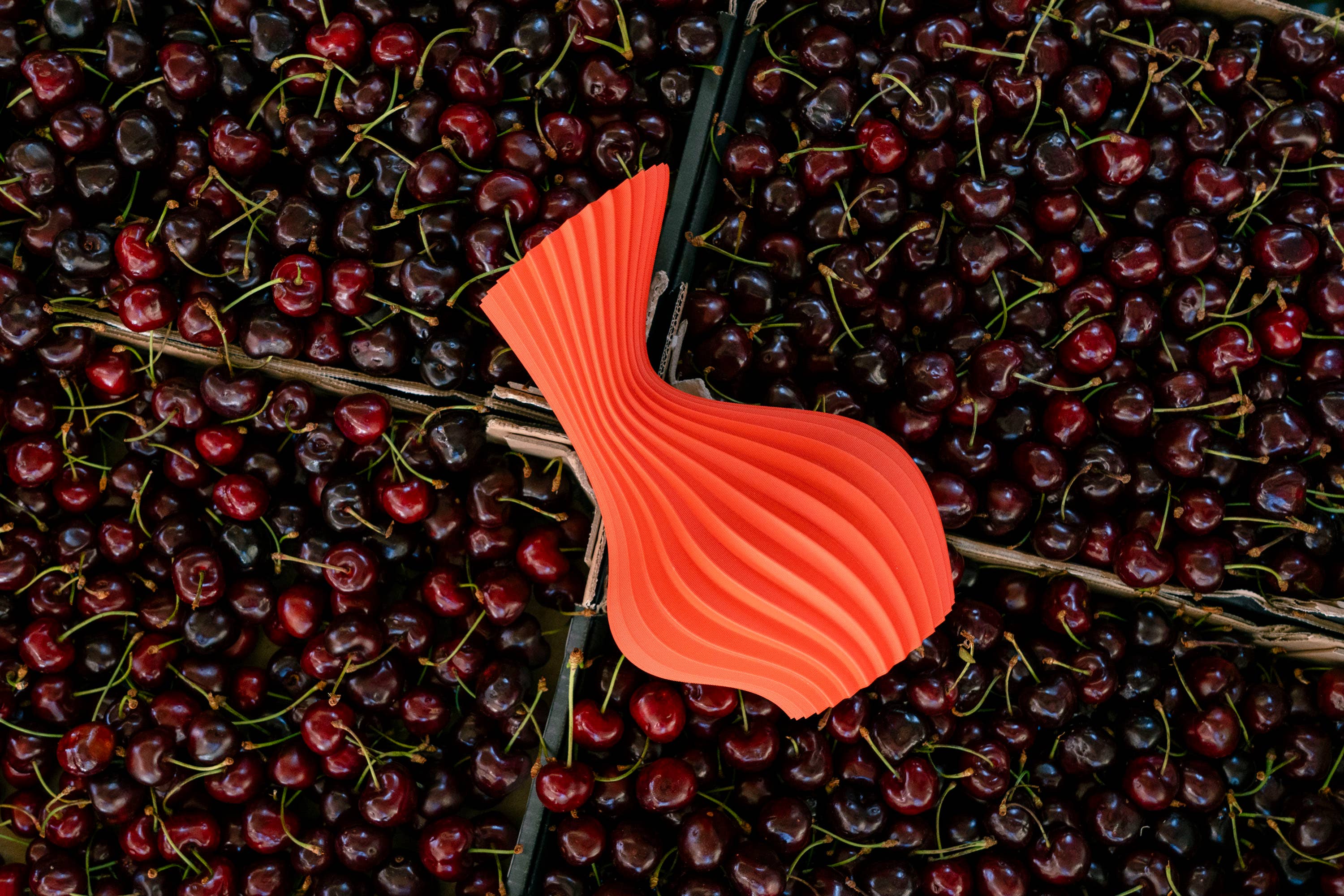 Atelier mahd – wholesale Vase – Eco-Responsible Design Vase Made in France Butternut1