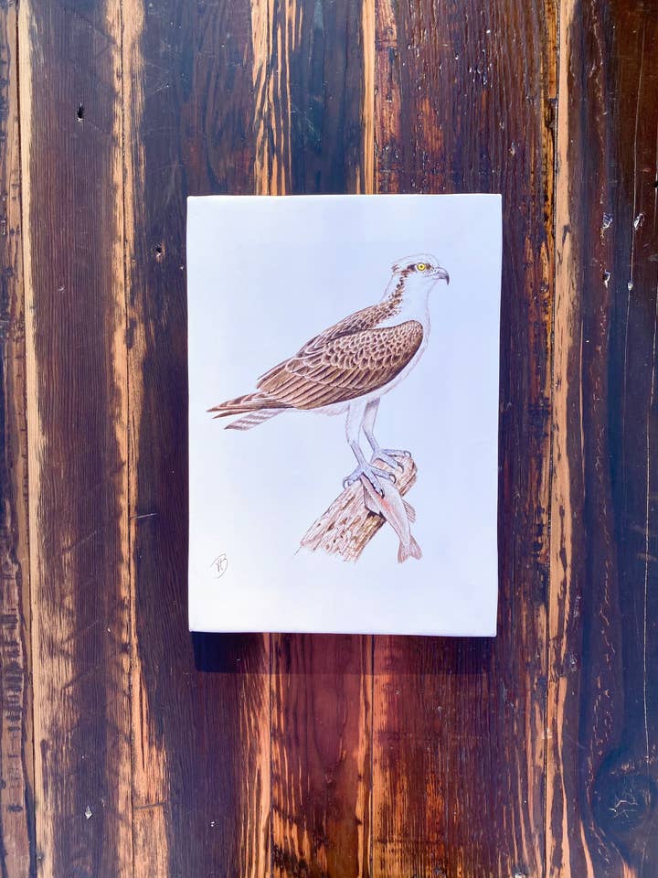 Tela Ospray Print por atacado de Streetlightbirds