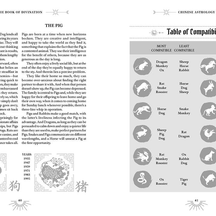 Texas Bookman - Wholesale Book - Adult - Book Of Divination: A Guide to Predicting the Future