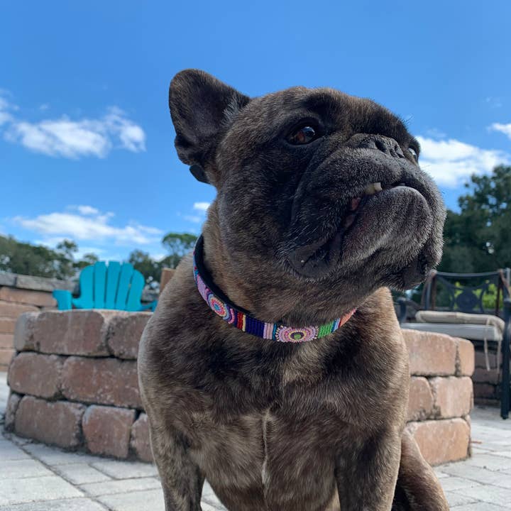 The Kenyan Collection Inc. dba TKC Inc - Wholesale Pet Collar - Dog - TKC Posey Beaded Dog Collar1