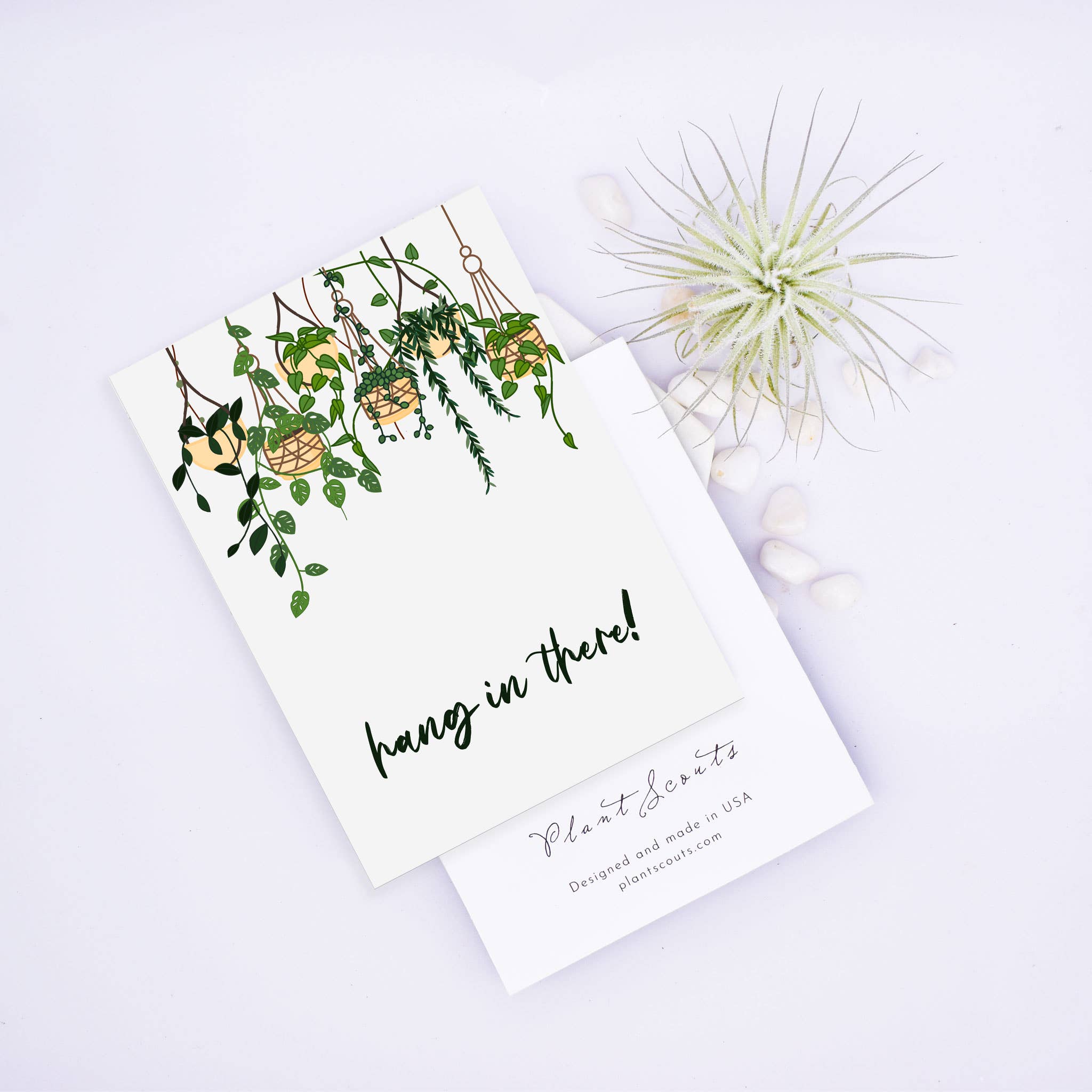 Plant Scouts - Wholesale Everyday Greeting Card - Hang in there greeting card