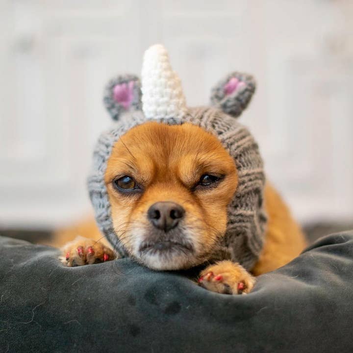 Zoo Snoods - Wholesale Pet Snood - Dog - Rhino Dog Snood8