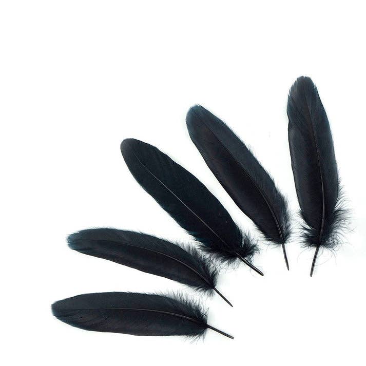 Zucker Feather Products - Wholesale Feathers - Bulk Goose Pallet Feathers 6-8 nch - 1/4 LB - Black0