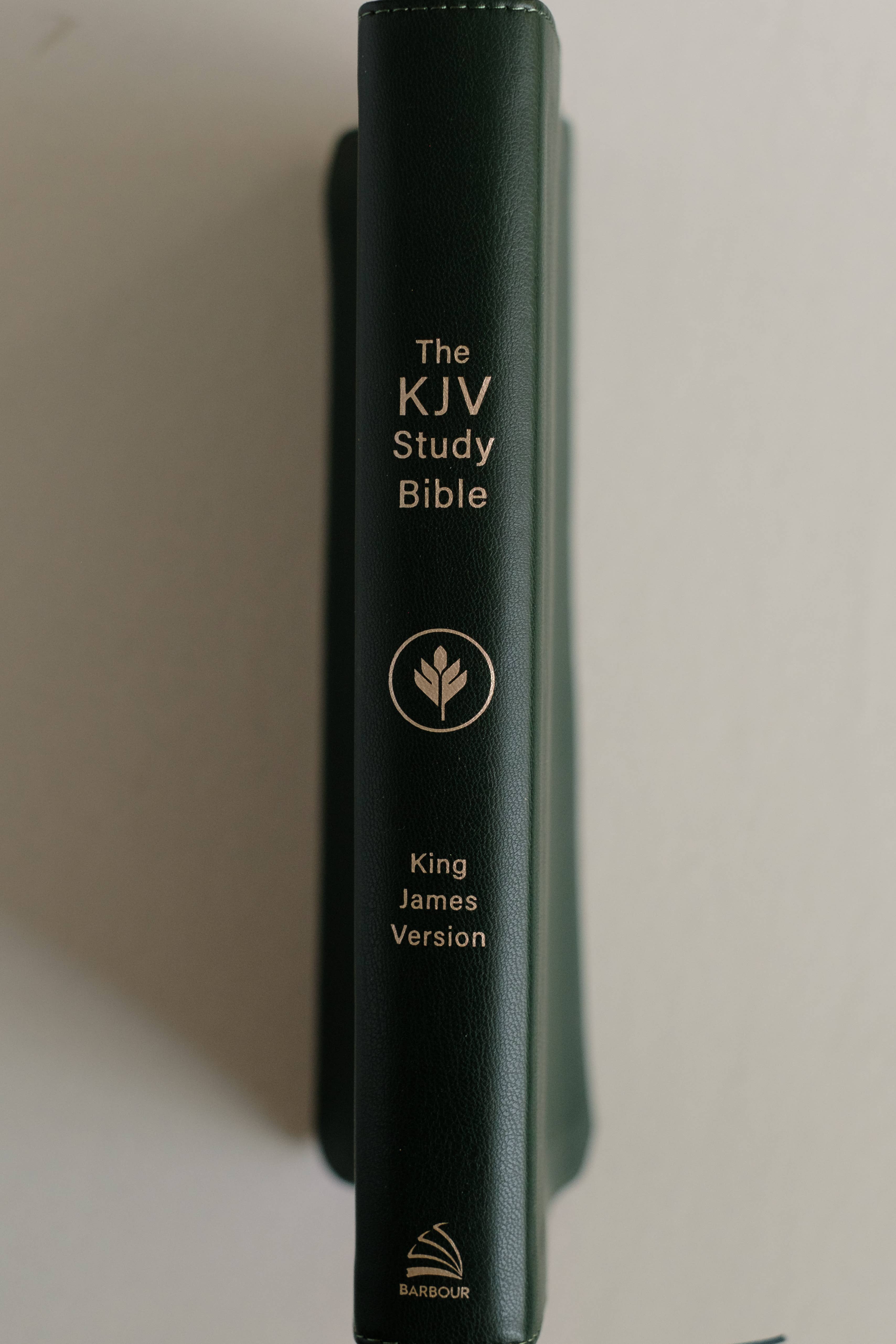 Barbour Publishing, Inc. - Wholesale Reference - The KJV Study Bible, Indexed (Evergreen Fog)8