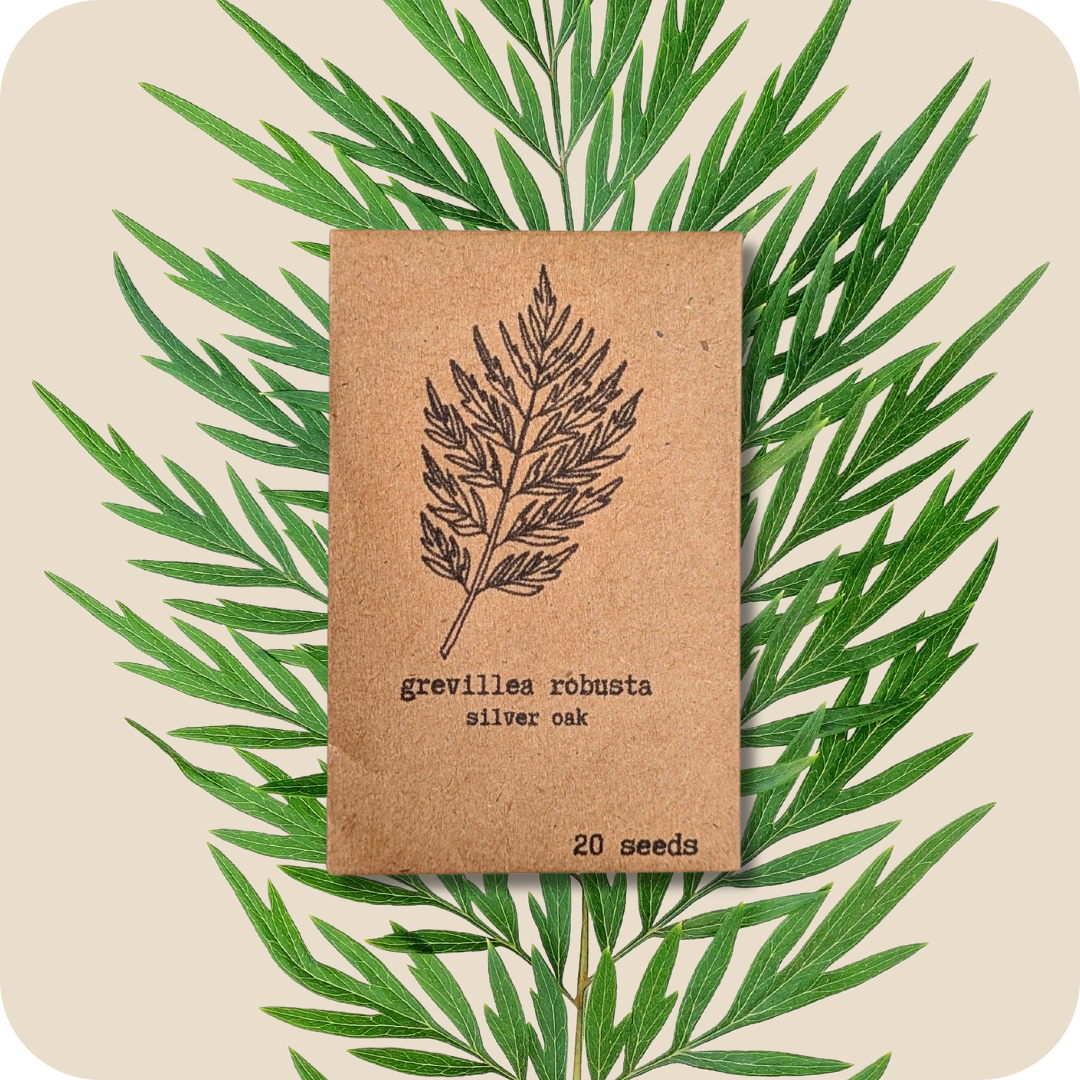 Plantflix - Vente Graines de plantes - Graines de plantes d'intérieur et de plantes tropicales1