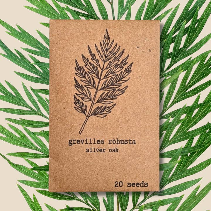 Plantflix - Wholesale Plant Seeds - Houseplant & Tropical Plant Seeds11