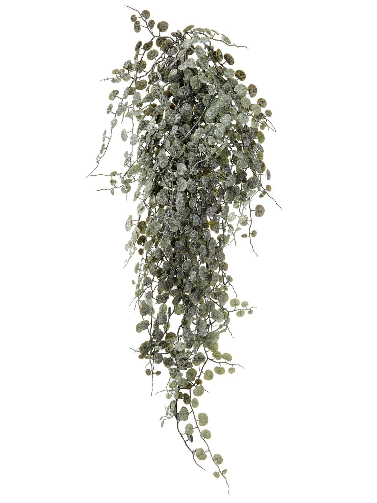Will's Company - Wholesale Artificial Plant - 'Weathered' Button Leaf Hanging Bush - 38"0