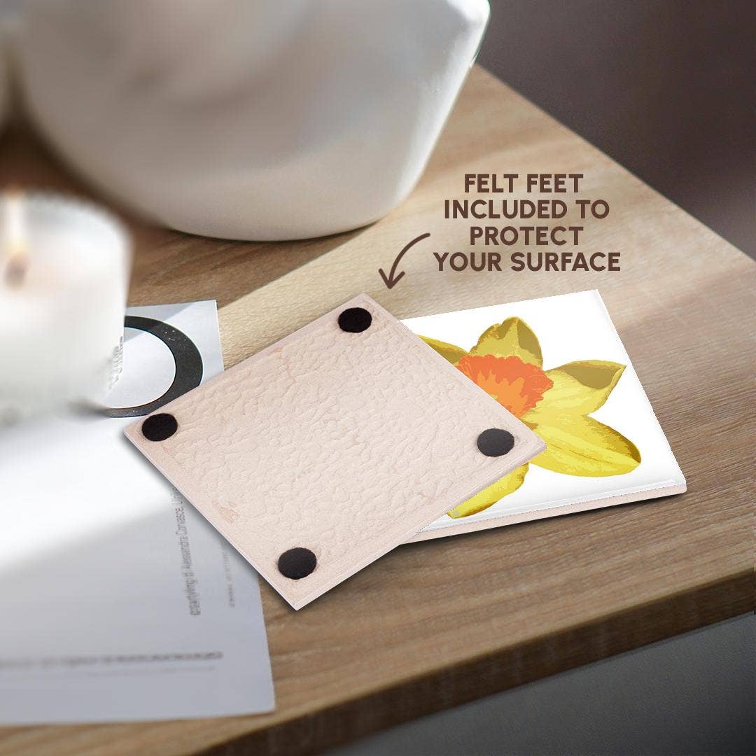 3dRose – Großhandel Untersetzer – 3dRose, Frühlings-Narzissen-Vektor isoliert, Untersetzer3