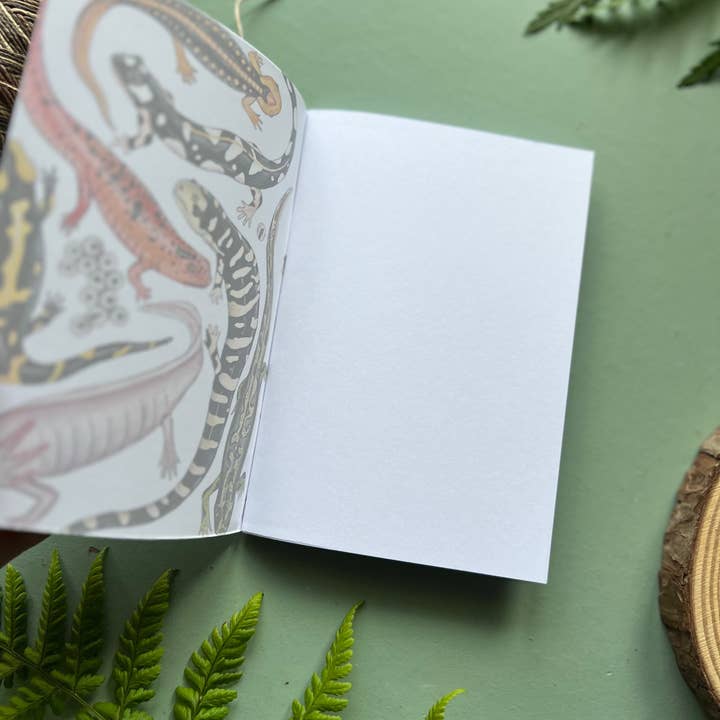 Tansy Moore - Wholesale Notebook - Salamander Pocket Notebook2