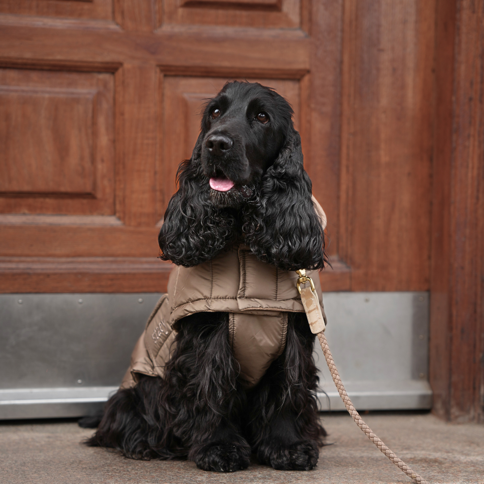 Staey - Wholesale Hondenjack - Hond - Nora Hondenjas | Taupe5