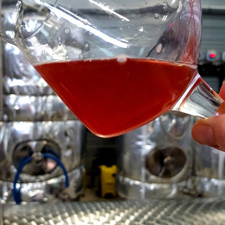 Brasserie 3 Mâts - Wholesale Beer - calypso2