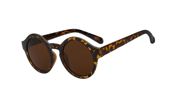 rocka shades sunglasses