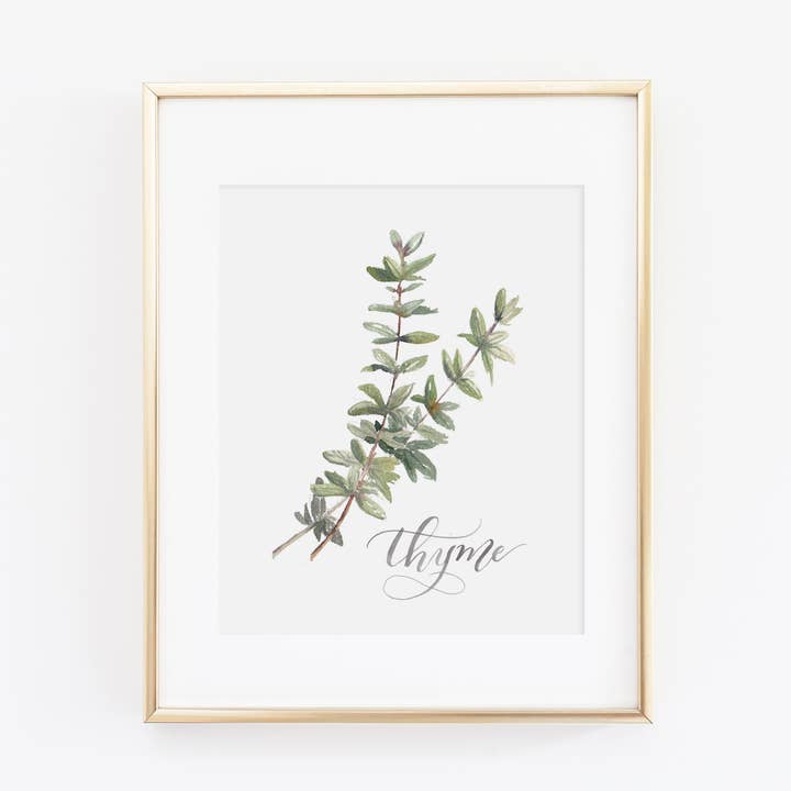 Thyme Art Print for wholesale by Cami Monet