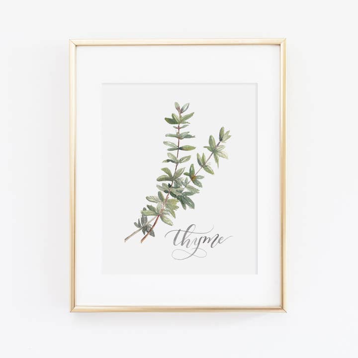 Thyme Art Print for wholesale by Cami Monet
