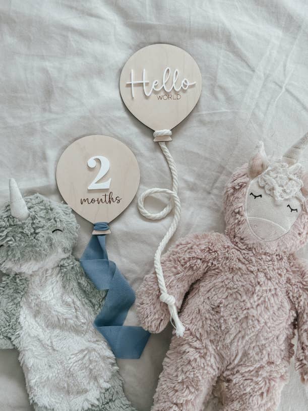 Maandelijkse Milestone-fotoballonnen voor baby's voor wholesale door Arrow Town Designs