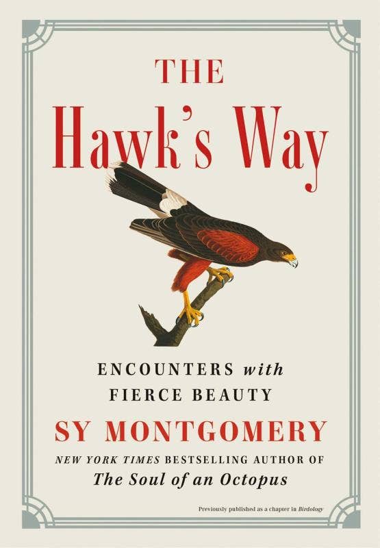 Microcosm Publishing & Distribution - Wholesale Nature & Outdoors - Hawk's Way: Encounters With Fierce Beauty, The0