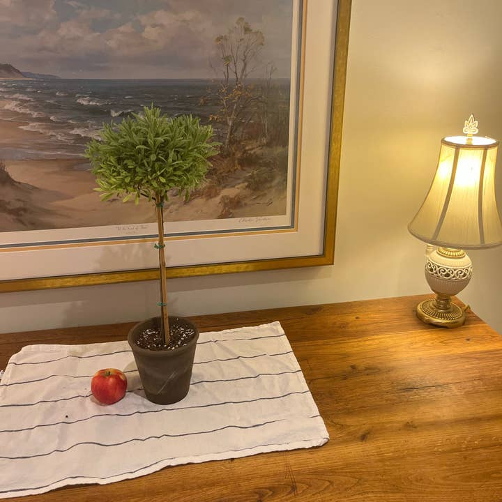 Sunrise Topiaries - Wholesale Live Plant - Live Goodwin Creek Lavender Topiary in 5 Inch Pot2