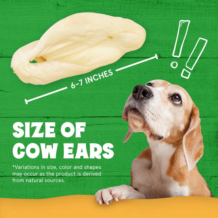 FETCHERONI - Wholesale Pet Treats - Dog - Cows Ears for Dogs, Thick and Large Dog Ears, One Ingredient