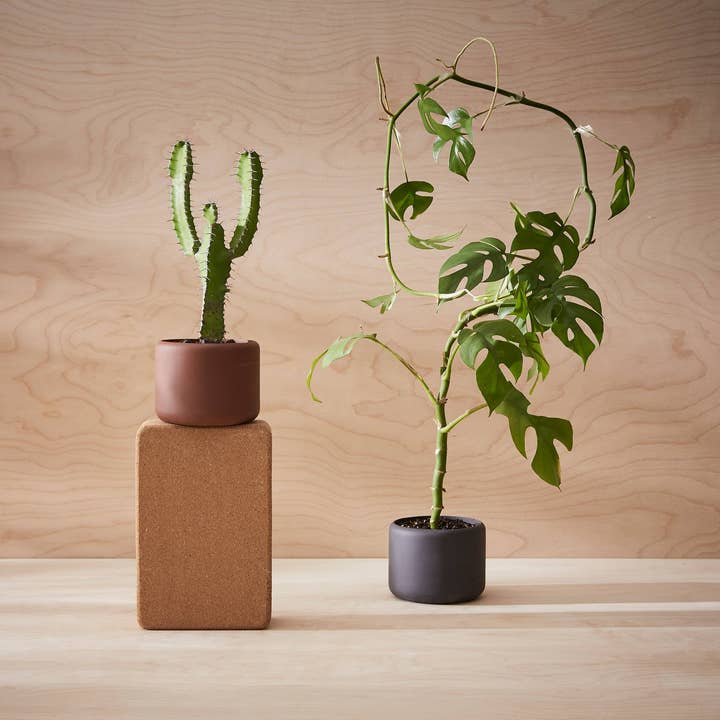 Aaron Probyn US - Wholesale Plant Pot - BOTANY porcelain Plant Pot SMALL3