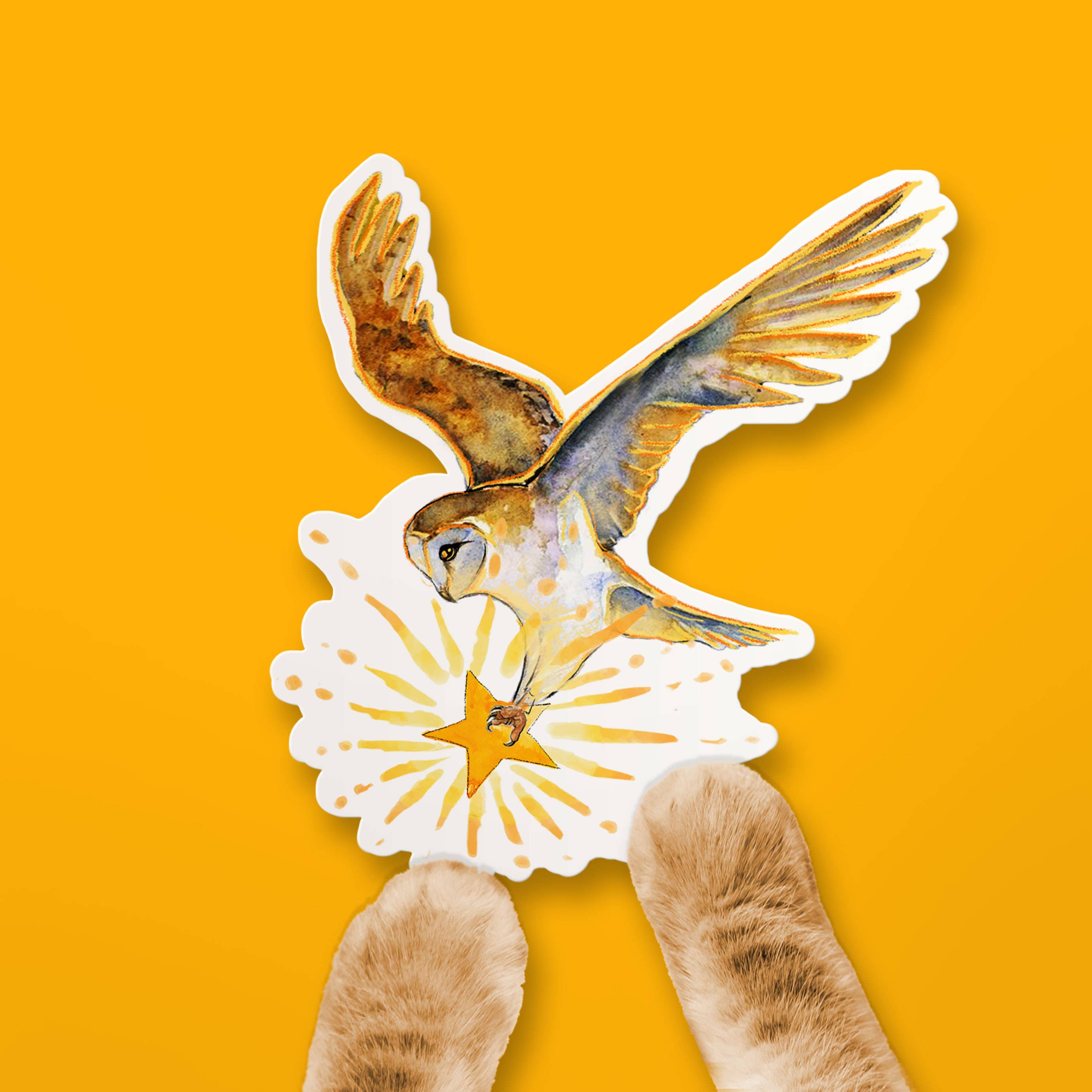 Liyana Studio - Wholesale Sticker - Barn Owl Star - Waterproof Vinyl Sticker4