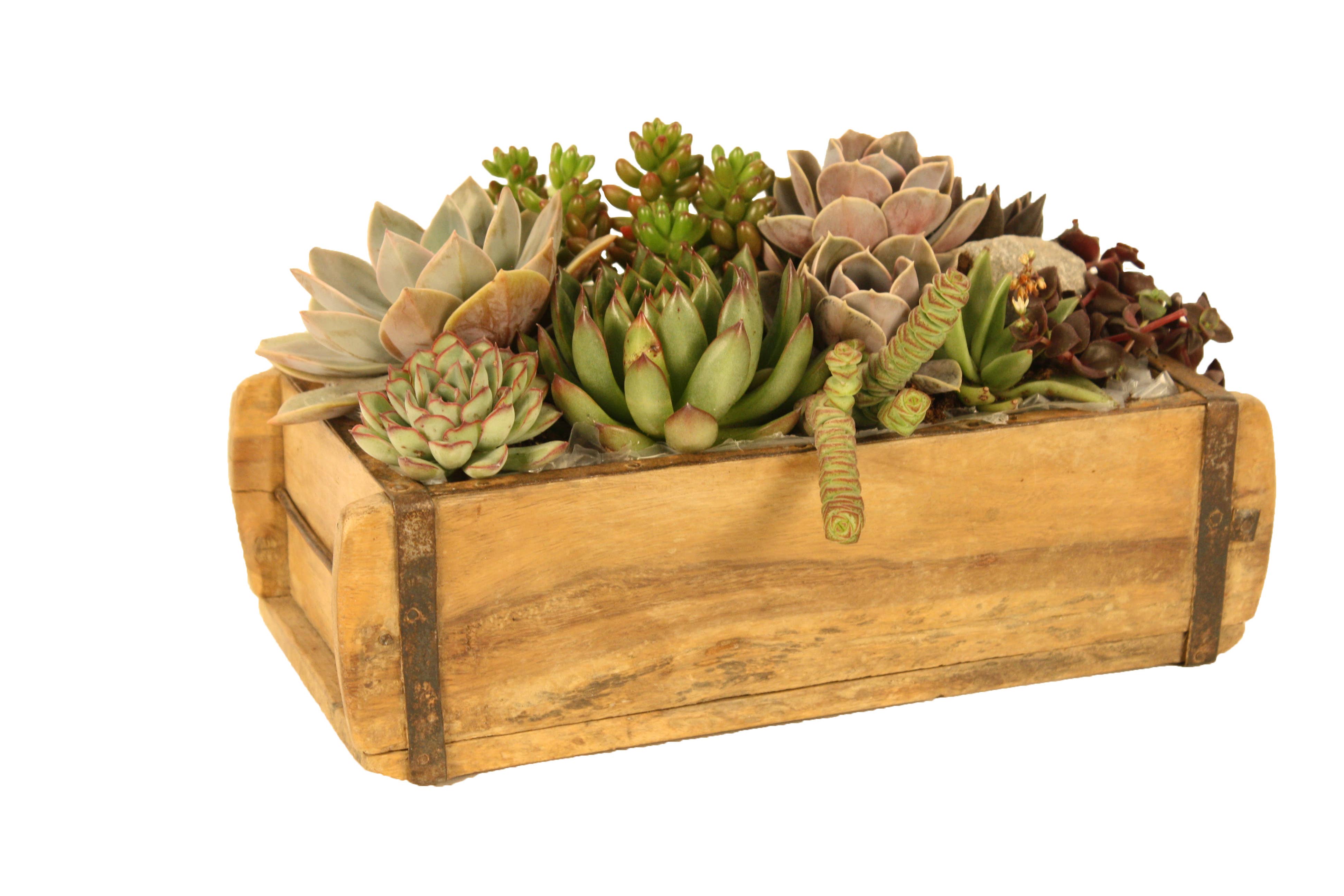 Braun - Wholesale Planter Box - Brick Molds0