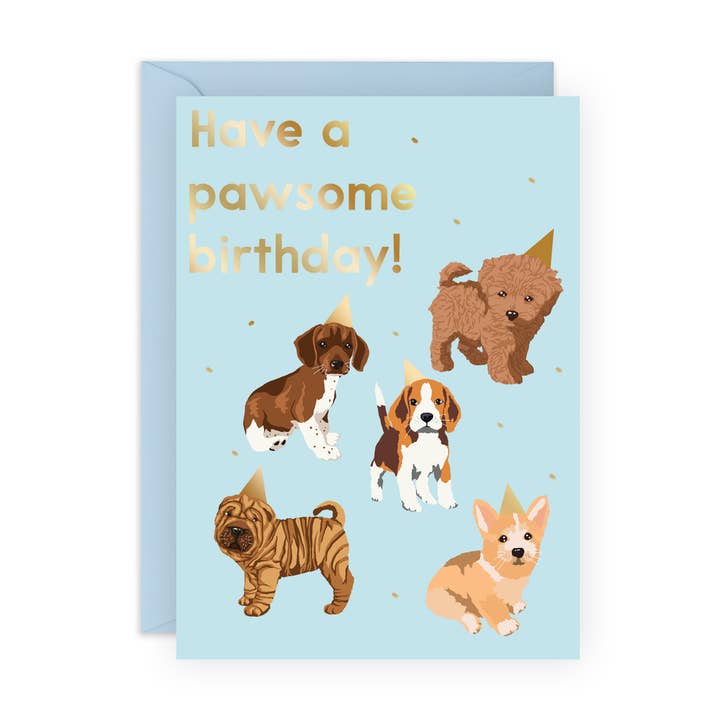 Bonita tarjeta de cumpleaños con forma de sombrero para perros, para él o para ella para venta al por mayor de Central 23 Cards