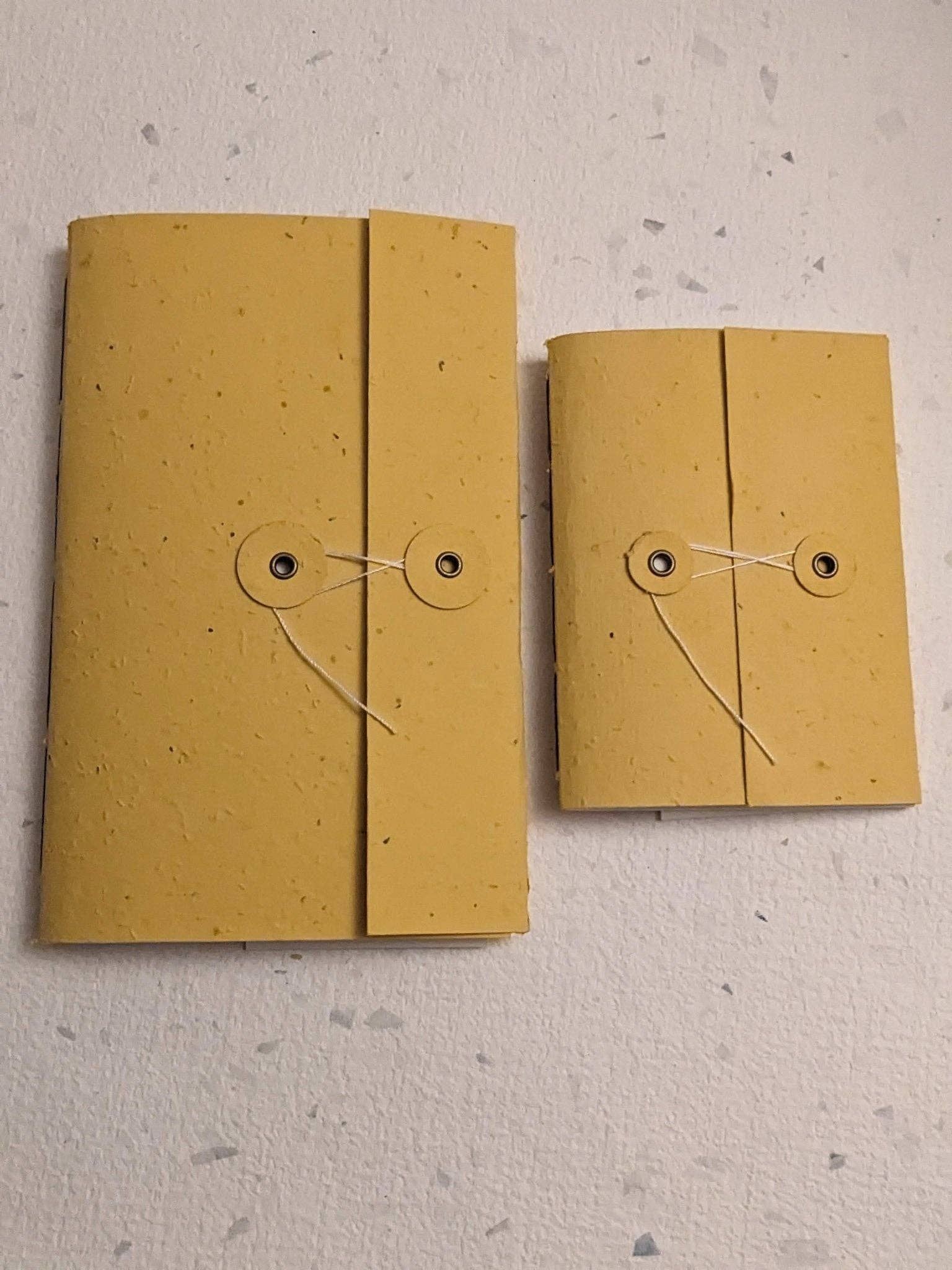 Creative Artifacts HQ - Wholesale Notebook - Large | Plantable Button and String Notebook10