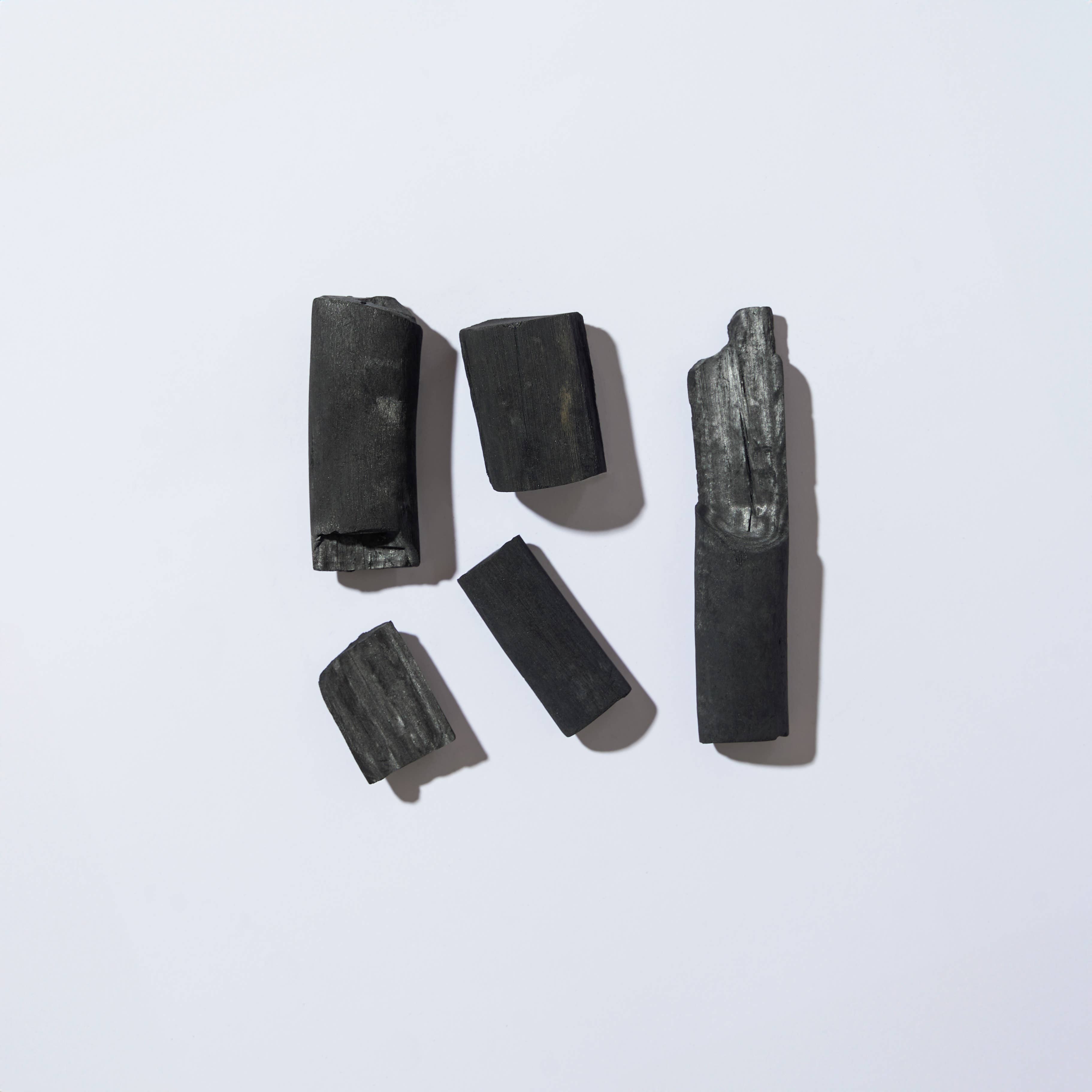 Bijin - Wholesale Water Filter - French vegetable charcoal VRAC water filter 1kg2