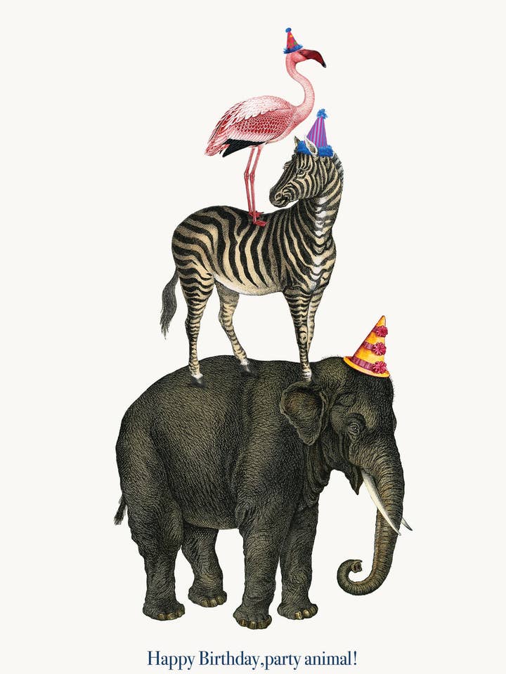 Happy Birthday Party Animal • 5x7 Greeting Card for wholesale by P. Flynn Design / Phun House
