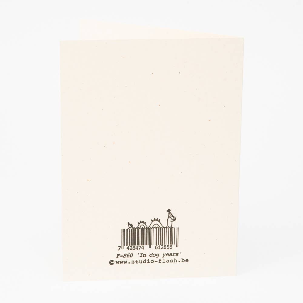Studio Flash - Wholesale Birthday Card - F-S60 'In dog years'1