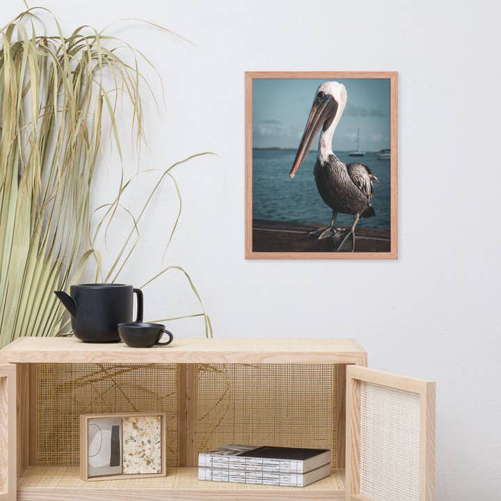 Pipa Wall Art & Home Decor - Wholesale Art print - Bob The Pelican 2 Colorized Wildlife Photo Framed Wall Art10