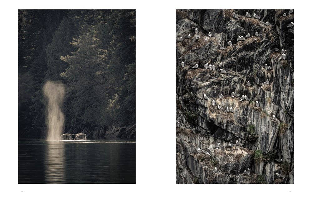 W. W. Norton - Wholesale Nature & Outdoors - Wild Ocean: A Journey to the Earth's Last Wild Coasts9