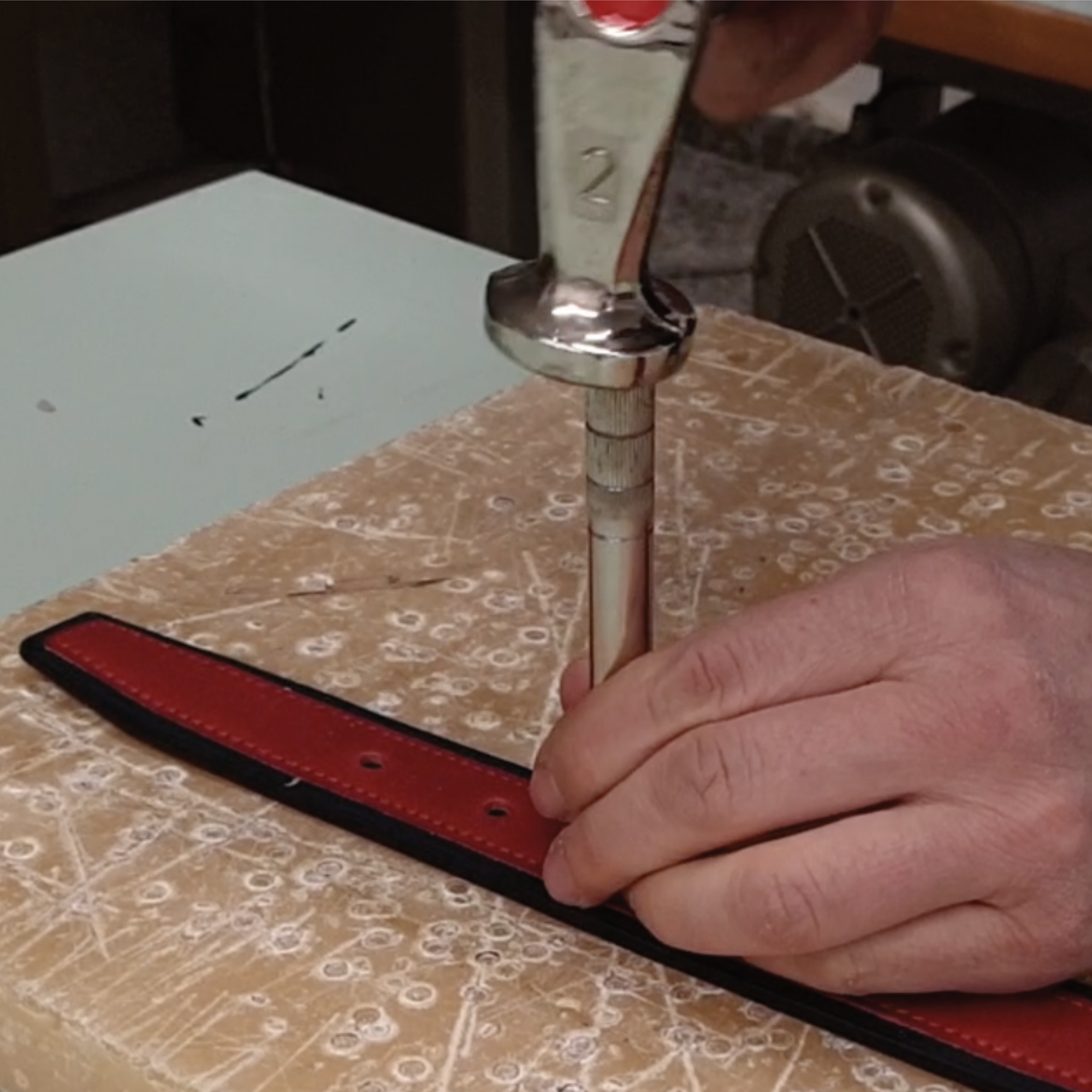 Tailorbelt - Wholesale Belt - Men's - Men's sports belt grey base and ocean lining1