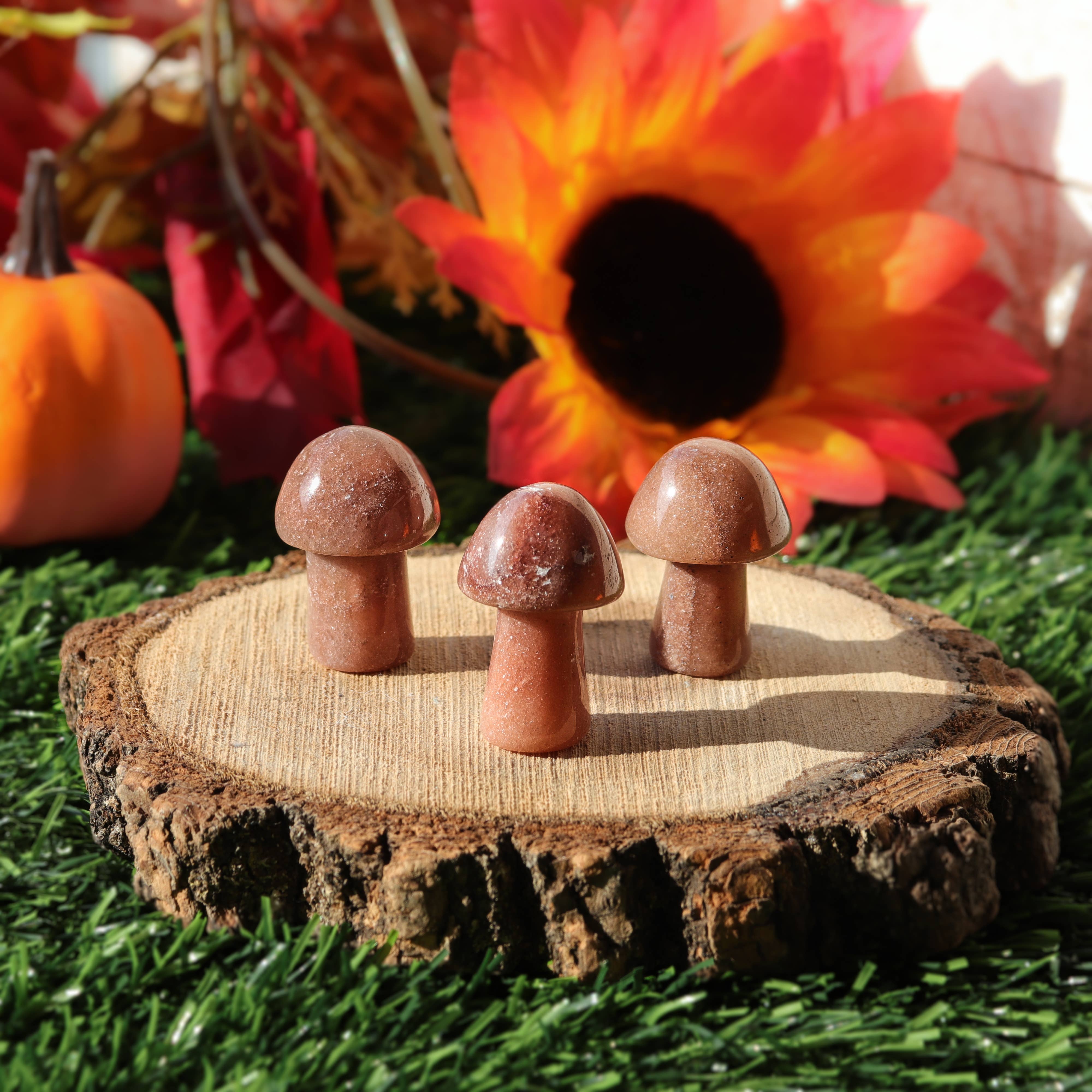 Natures Artifacts Inc - Wholesale Spiritual Stone/Crystal - Red Aventurine Mini Mushroom