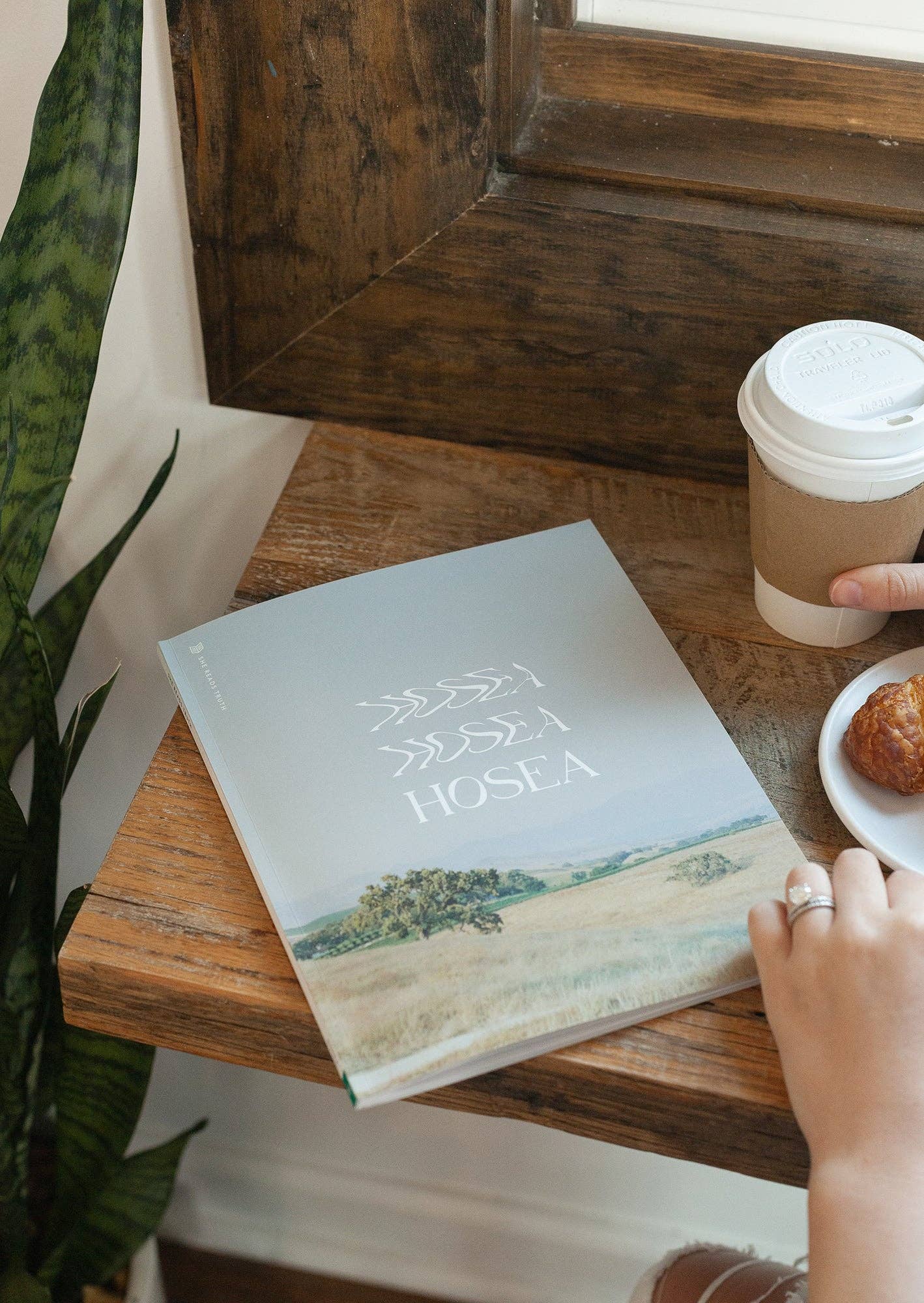 She Reads Truth - Wholesale Religion Book - Hosea Study Book | She Reads Truth4