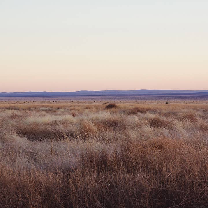 Impression photographique Coucher de soleil sur la Saint-Valentin, Texas West Texas pour la vente par Ann Hudec Photography