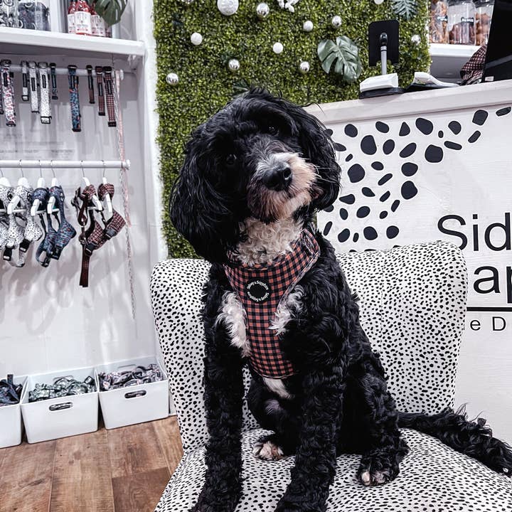 Sidney and Sapphire - Wholesale Pet Harness - Dog - Black and Brown Checkered Plaid Dog Harness2