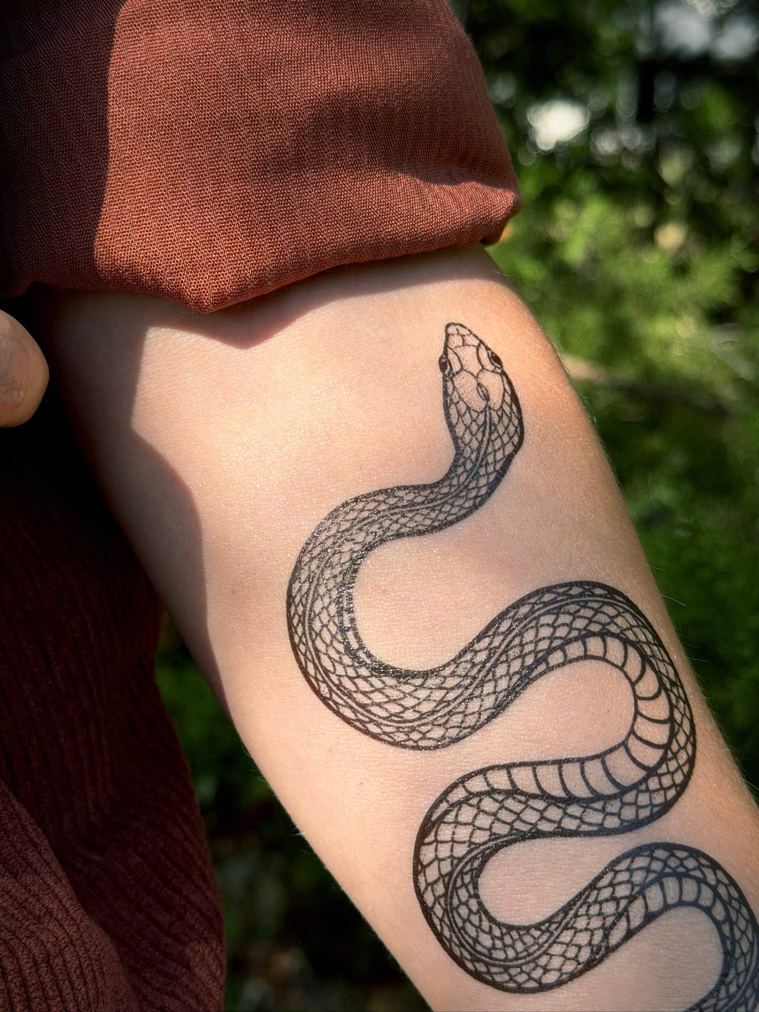 NatureTats - Wholesale Temporary Tattoo - Garden Snake Temporary Tattoo9
