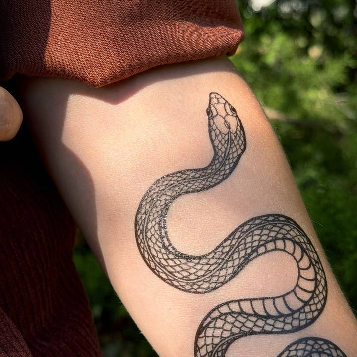 NatureTats - Wholesale Temporary tattoo - Garden Snake Temporary Tattoo9
